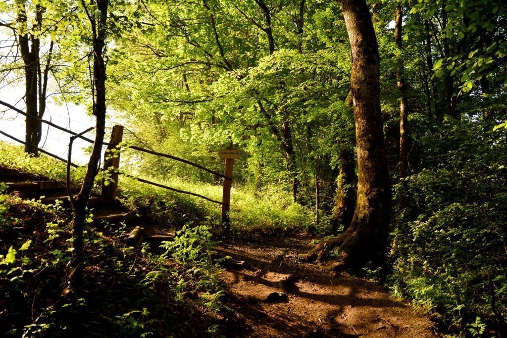 ©Pays d'Aurillac Tourisme