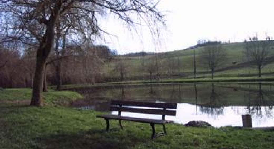 Omps fishing pond