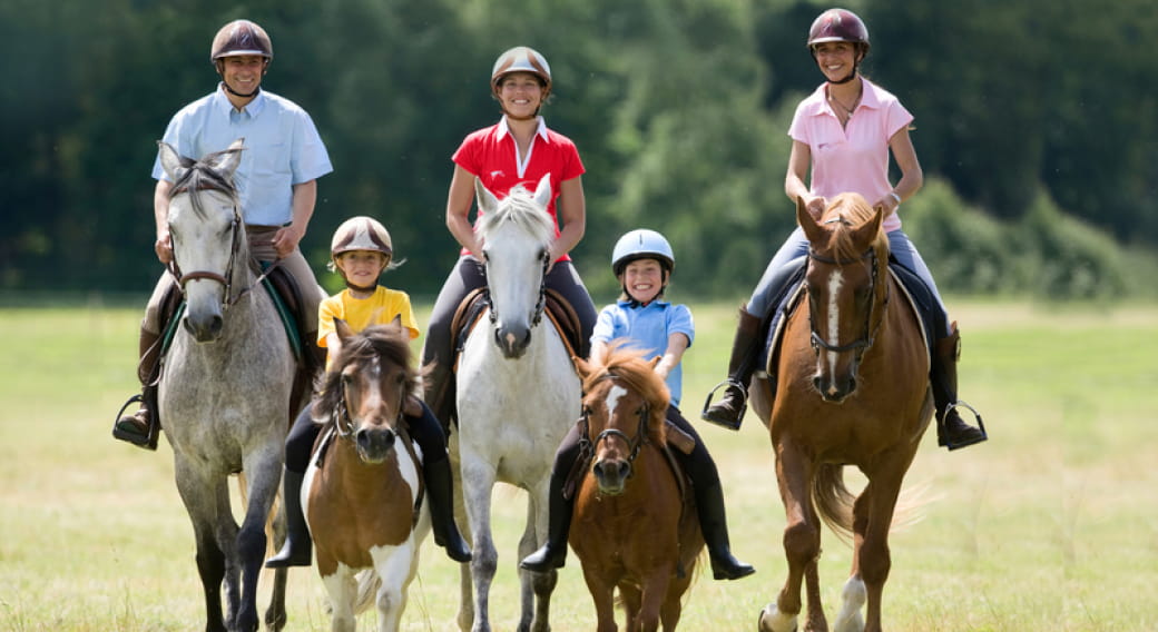 Ecole départementale d'équitation et Poney Club - Equitation