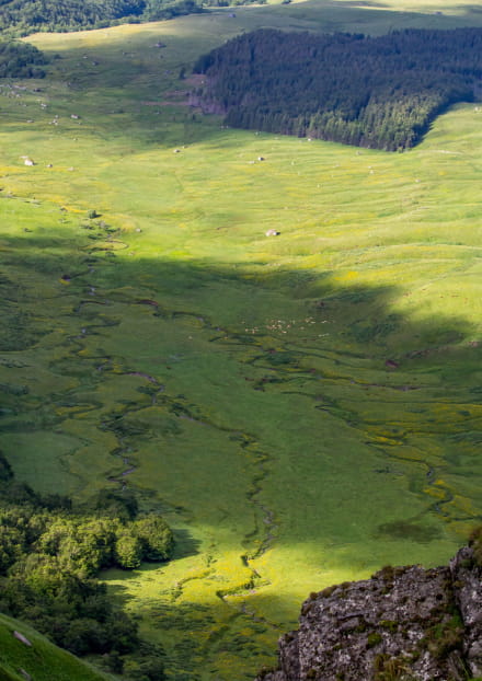 Espaces naturels sensibles : Visite du chantier de restauration écologique de la Montagne du Mont