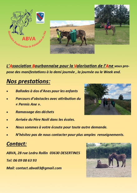 Association Bourbonnaise de Valorisation de l'Âne : Balades et animations à dos d'âne