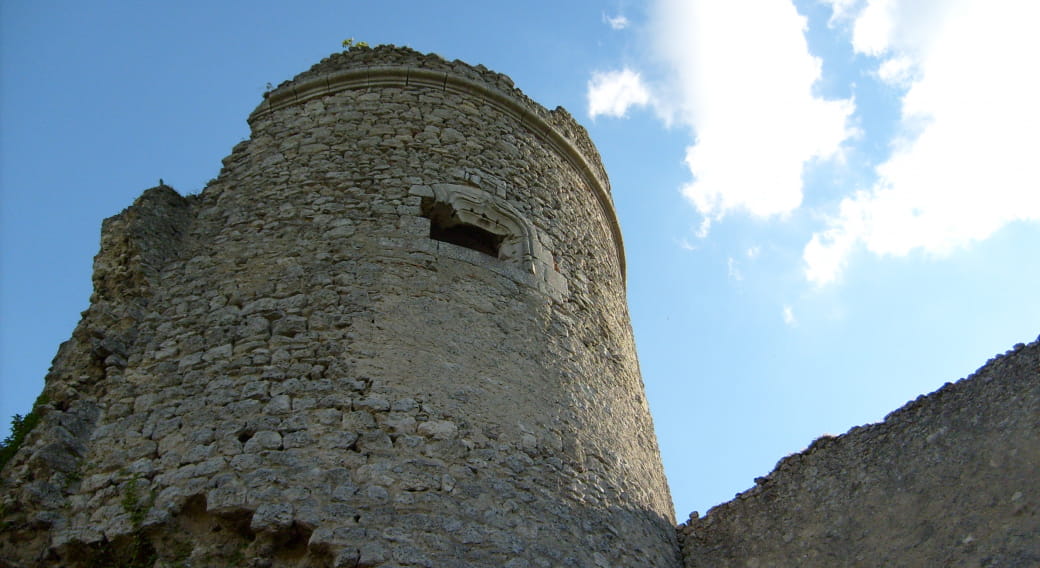 Forteresse Médiévale de Montaigu-le-Blin