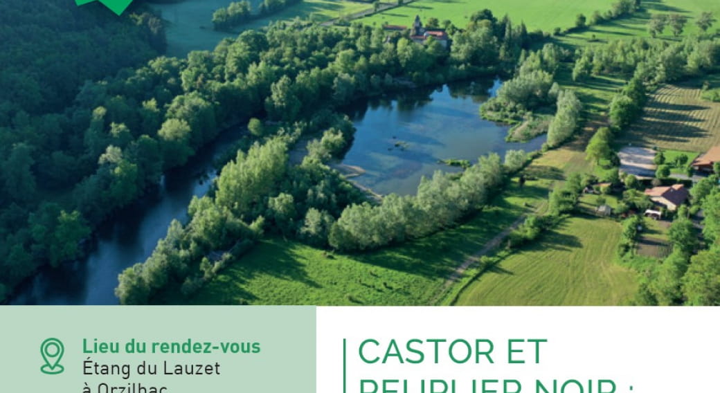 Sortie nature : Castor et peuplier noir : deux trésors de la faune et flore de la Loire sauvage