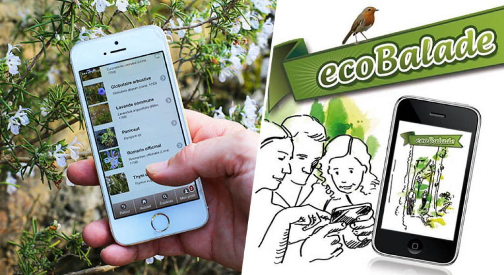 L'application Ecobalade : 5 sentiers d'exception à découvrir avec votre mobile