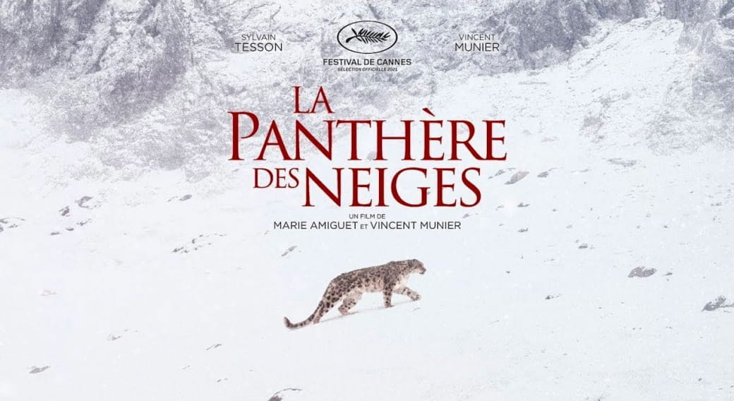 Ciné-Quiz : La Panthère des Neiges | Cinéma CGR Les Ambiances