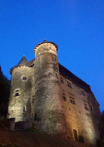 Château Fort de Vieillevie