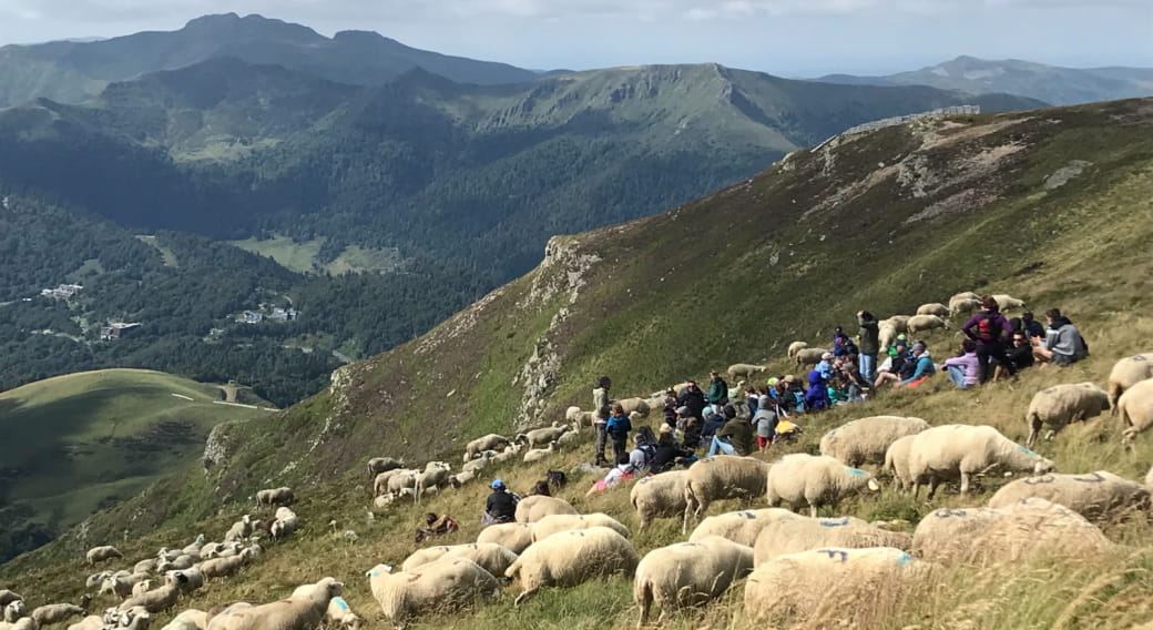 Visites Pastorales - Rencontre avec les bergers