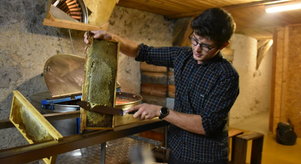 Les Randos gourmandes - A la découverte du miel à Saint-Ours