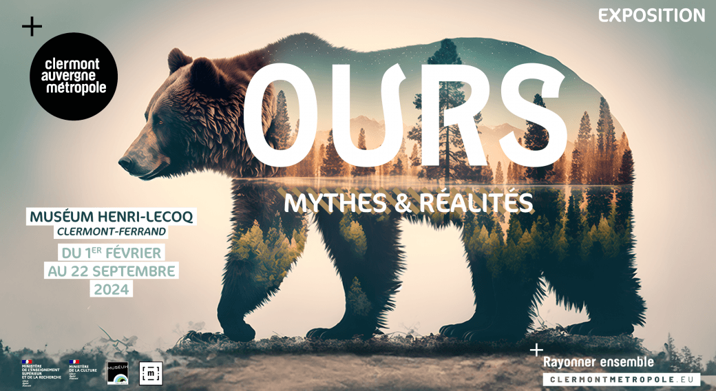 Ours, mythes et réalités