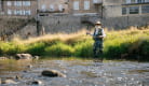 Pêche en rivière