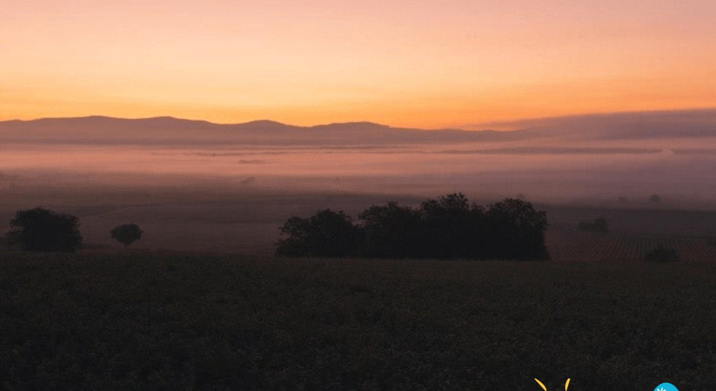 Les P’tites virées du Parc des Volcans d'Auvergne – Sortie coucher de soleil et pause gourmande à la Butte de Montgacon