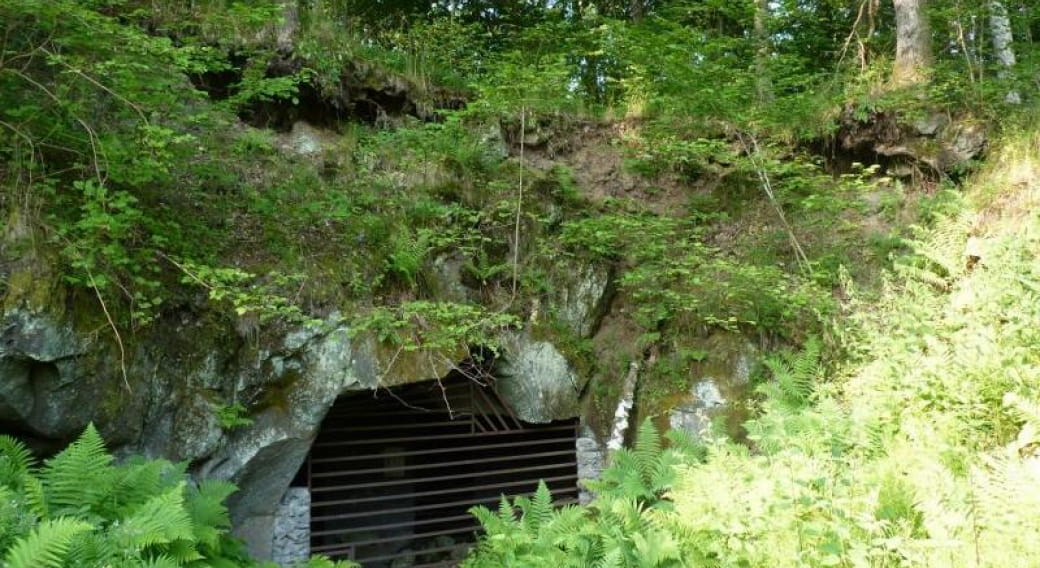Réserve Naturelle des Cheires et Grottes de Volvic