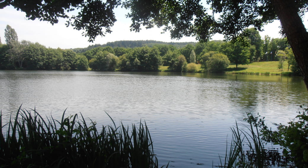 Site de pêche - Plans d'Eau de Saint-Eloy-Les-Mines et étangs aux alentours