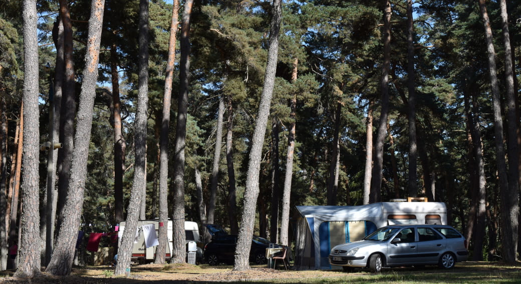 Le Petit Bois camping