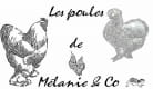 Les Poules de Mélanie & Co