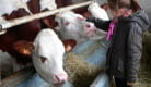 Visite d'une ferme fromagère, rencontre avec les animaux - Grange de la Haute Vallée
