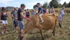 Visite de la ferme vach'Mont bio