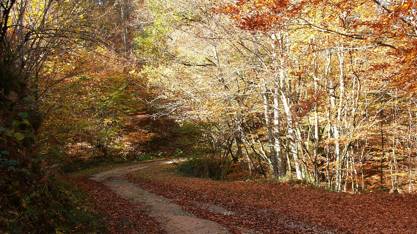 Paysage d'automne à Saint-Yorre