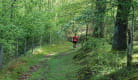 Trail Ebreuil