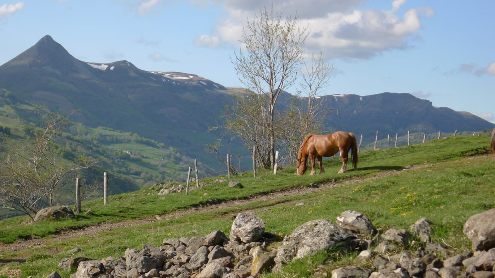 Trail - Le Puy Gros