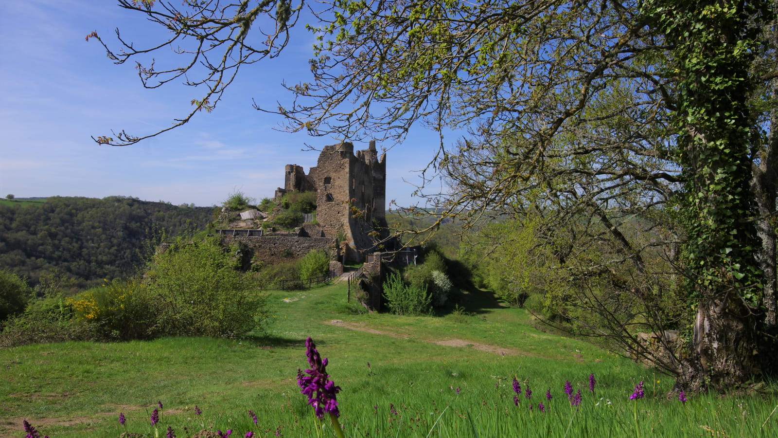 Panorama sur le château Rocher