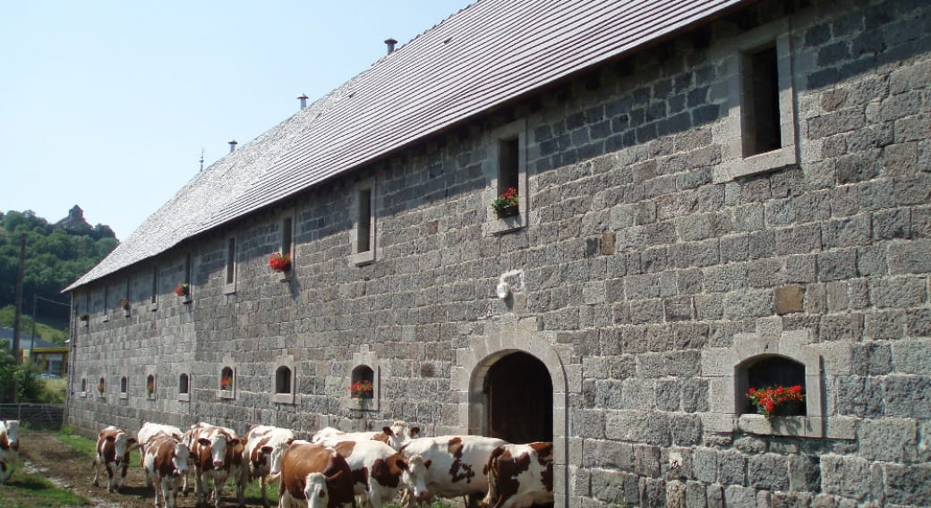 Visite d'une ferme fromagère, rencontre avec les animaux - Grange de la Haute Vallée