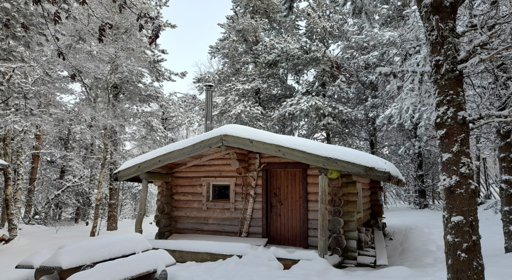 Cabane de l'ours hiver