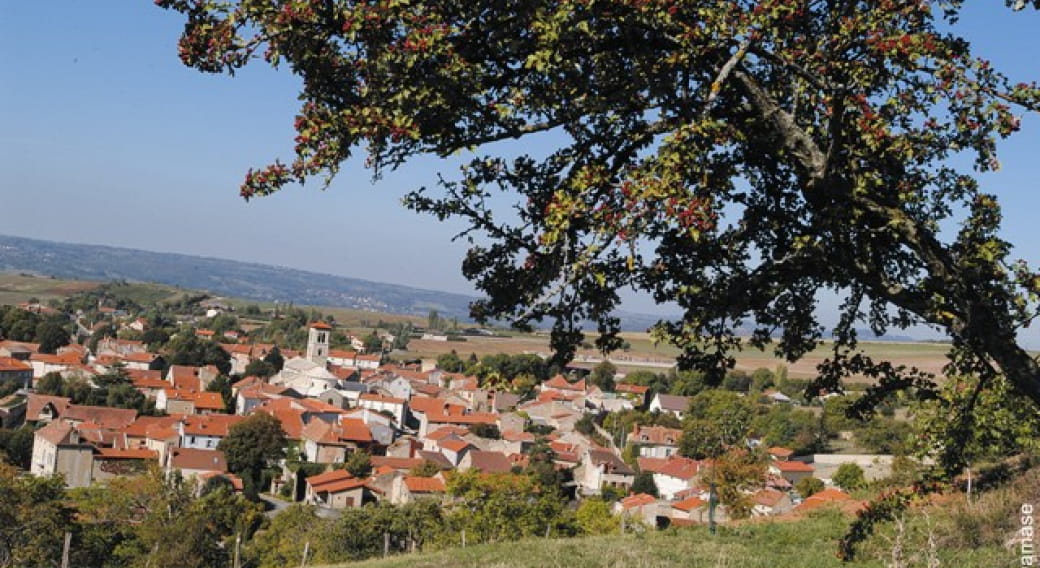 Artonne, village vigneron - Petite Cité de Caractère ®