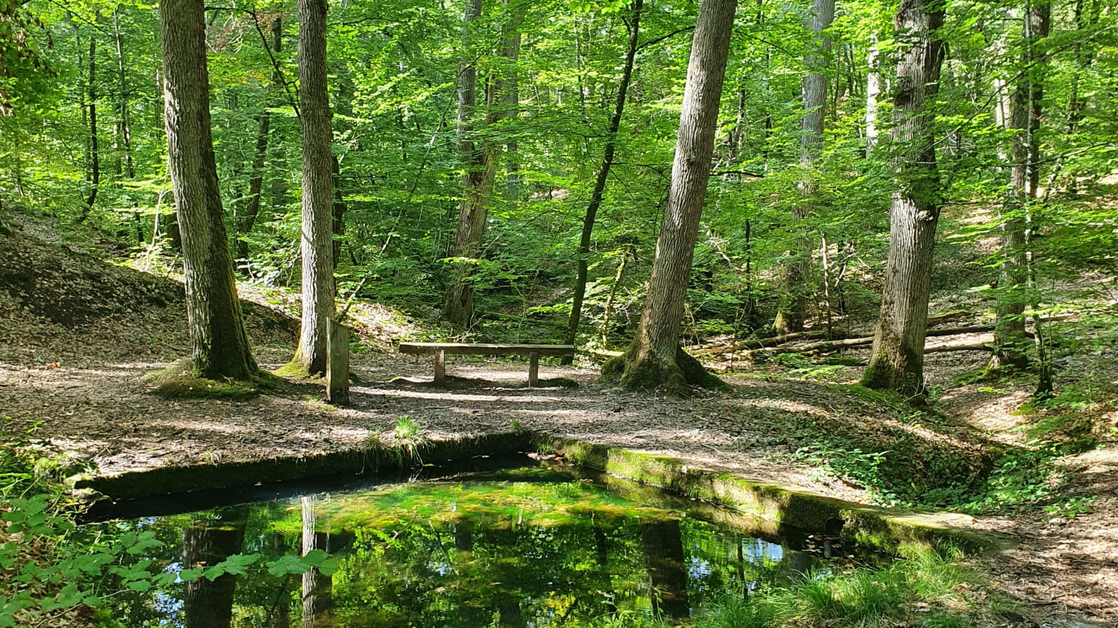 Font Gargot, Forêt Domaniale de Dreuille