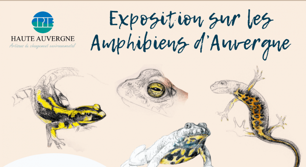 Exposition sur 'Les Amphibiens d'Auvergne'