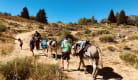 Randonnée avec les ânes: La vallée du Lagnon et le Puy du Bac