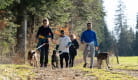 Visite du parc : découvrir la vie d'un attelage de chiens de traîneau