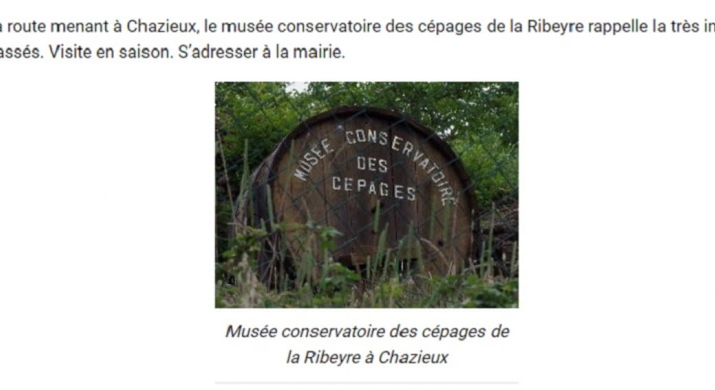 Musée conservatoire des cépages e la Ribeyre