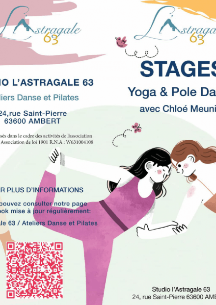 Stage Pole dance et Chant