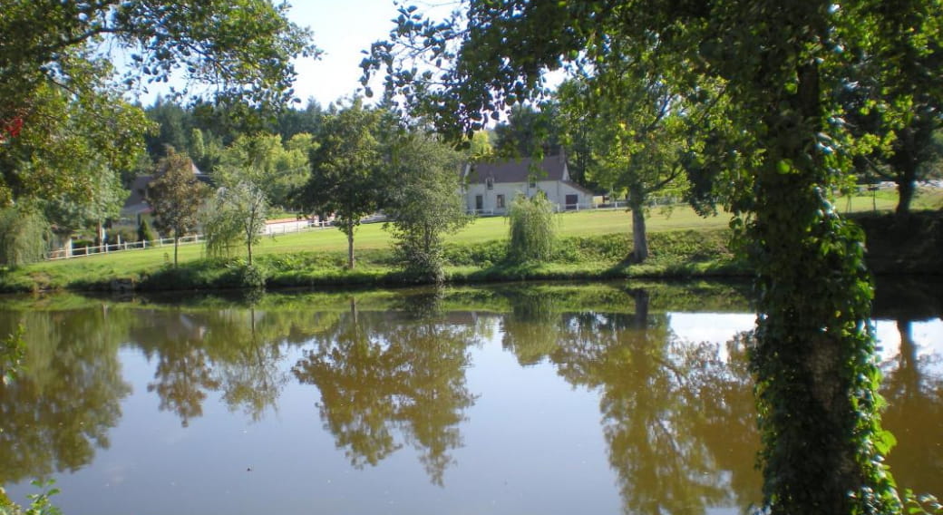 Gite du Cheval Blanc à MEAULNE dans l'Allier en AUVERGNE.