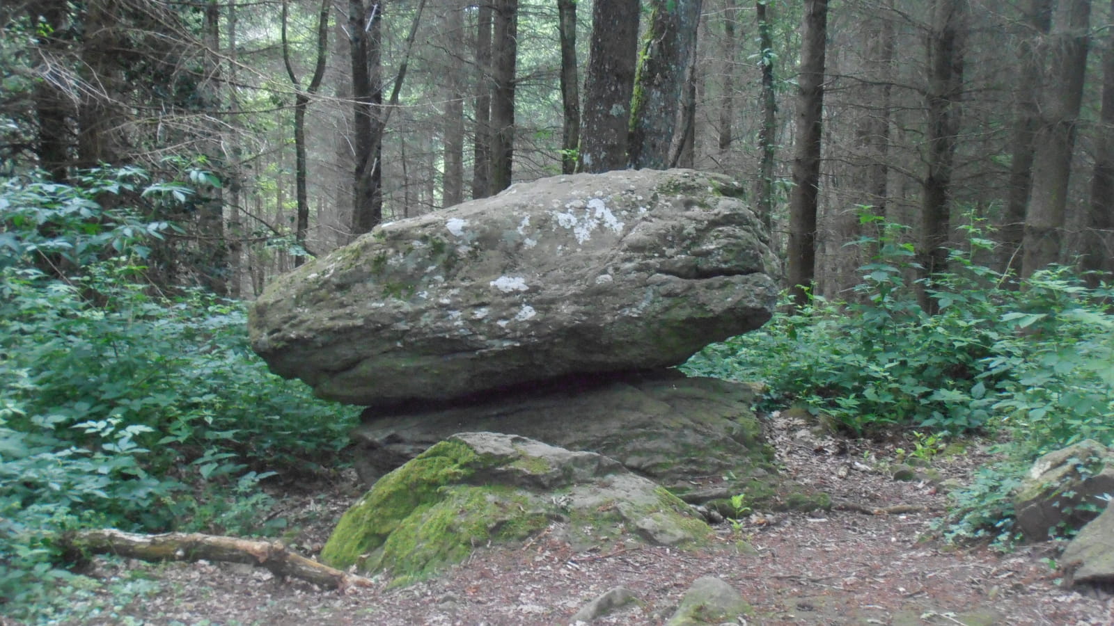 Montcel pierre branlante