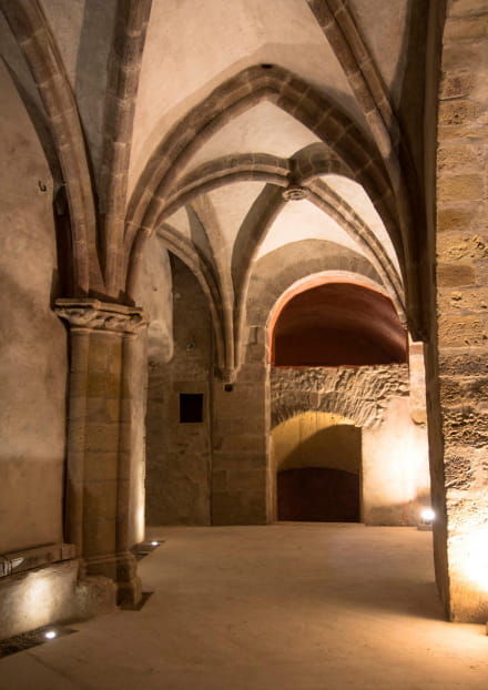 Visite guidée 'Secrets des demeures médiévales'