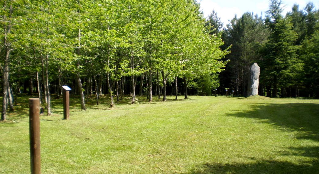 Arboretum du bois des Brosses