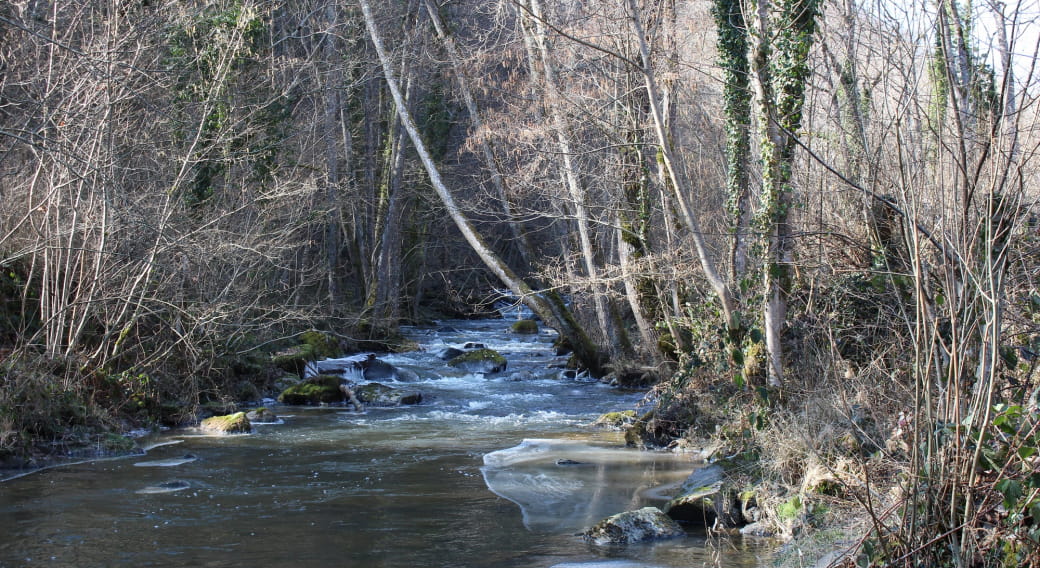 Site de pêche - Rivière La Morge