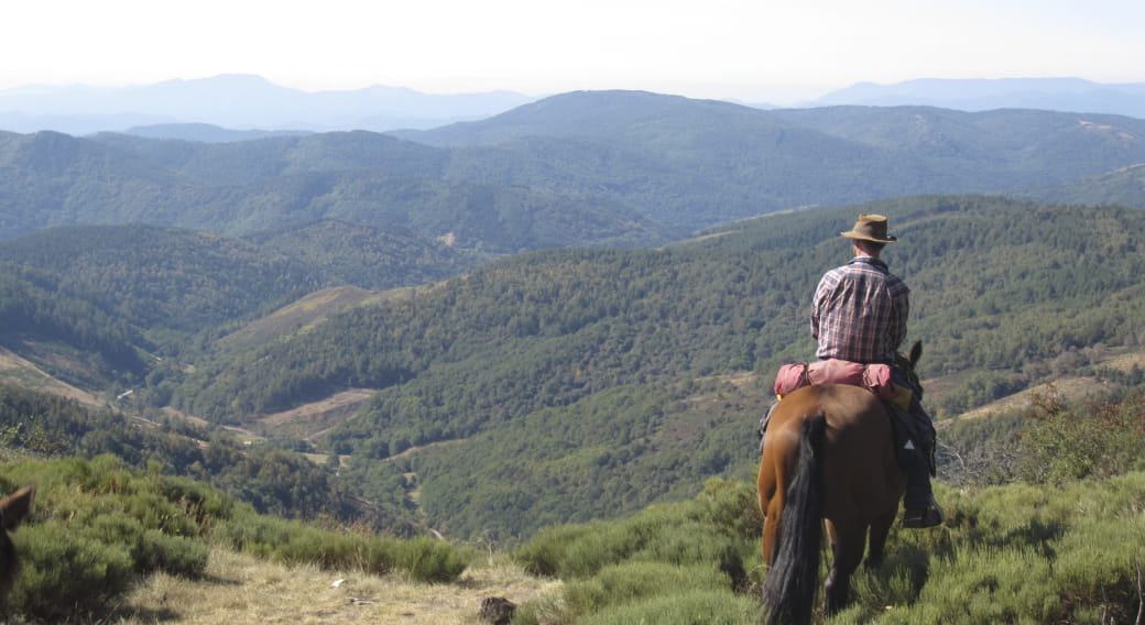 Balade et longues randonnées à cheval  - Domaine de Viaye