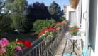 balcon hortensia