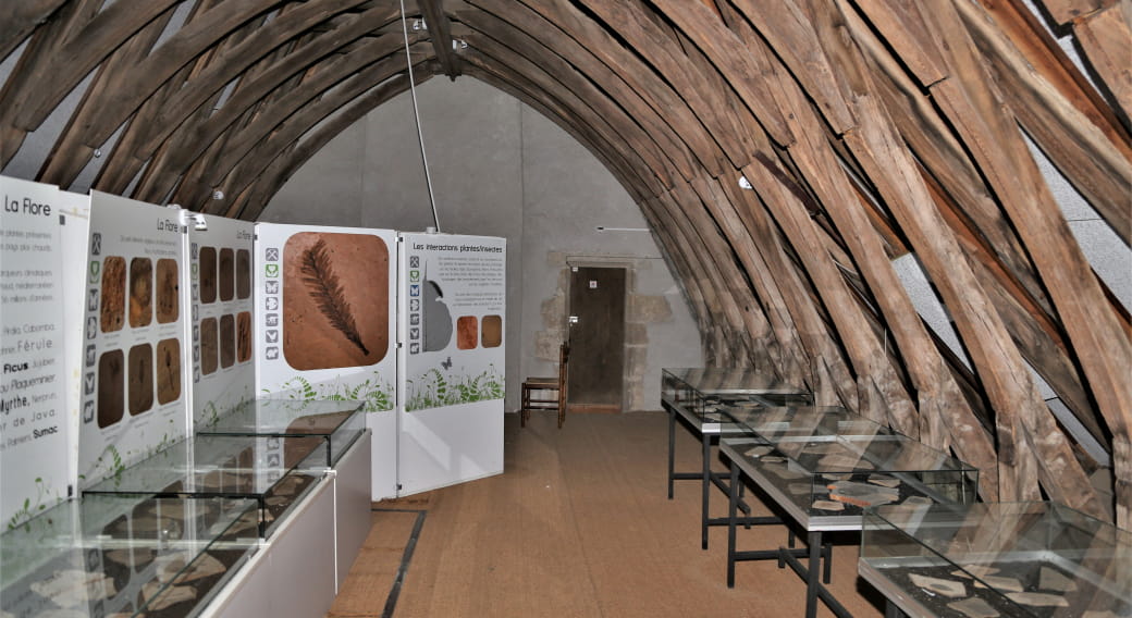 Musée de Paléontologie